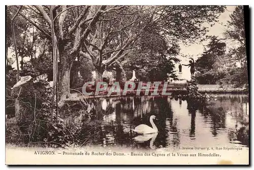 Ansichtskarte AK Avignon (Vaucluse) Promenade du Rocher des Doms