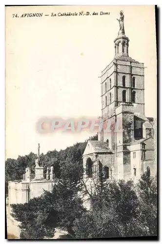 Cartes postales Avignon la Cathedrale N D des Doms