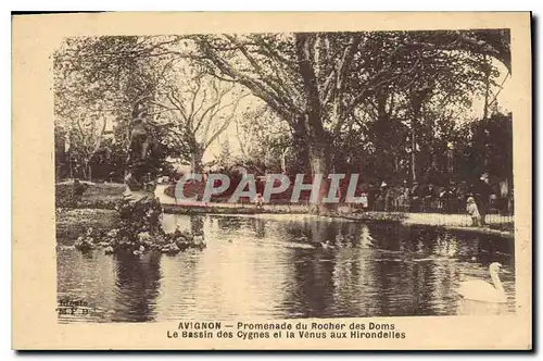 Cartes postales Avignon Promenade du rocher des Doms le Bassin des cygnes et la Venus aux Hirondelles