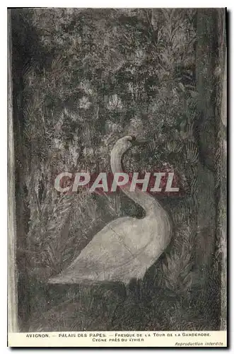 Cartes postales Avignon palais des Papes Fresque de la tour de la Garderobe Cygne pres du Vivier
