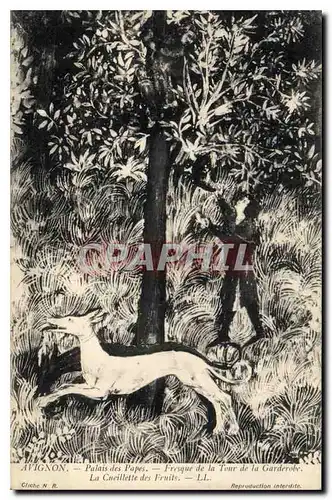 Cartes postales Avignon palais des Papes Fresque de la Tour de la Carderobe la Cueillette des Fruits