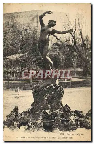 Cartes postales Avignon Roche des Doms la Venus aux Hirondelles