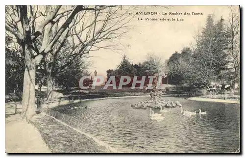 Ansichtskarte AK Avignon le Rocher des Doms la Promenade et le Lac