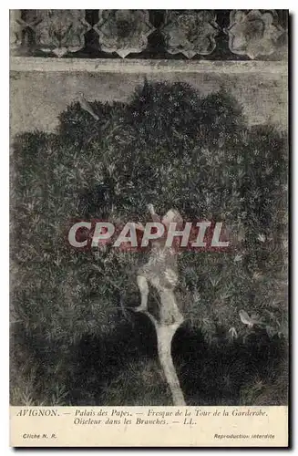 Cartes postales Avignon palais des Papes Fresque de la Tour de la Garderobe Oiseleur dans les Branches