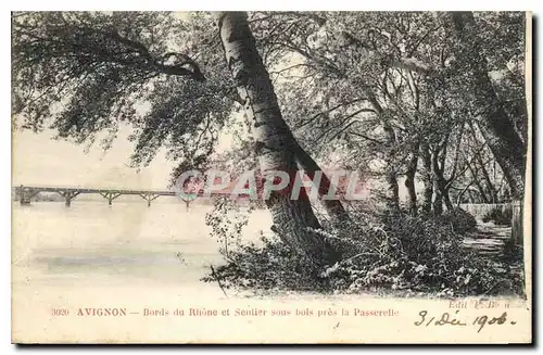 Cartes postales Avignon Bords du Rhone et sentier sous bois pres Passerelle