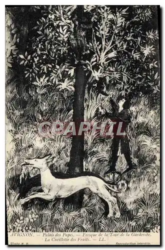 Cartes postales Avignon palais des Papes Fresque de la Tour de la Garderobe la Cueillette des fruits