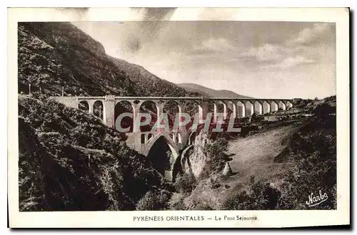 Ansichtskarte AK Pyrenees Orientales Le Pont Sejourne