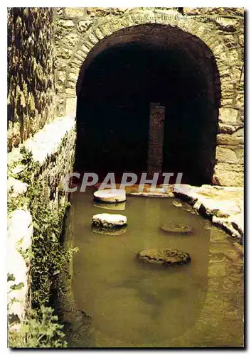 Cartes postales moderne Jerusalem la Mare de Siloe