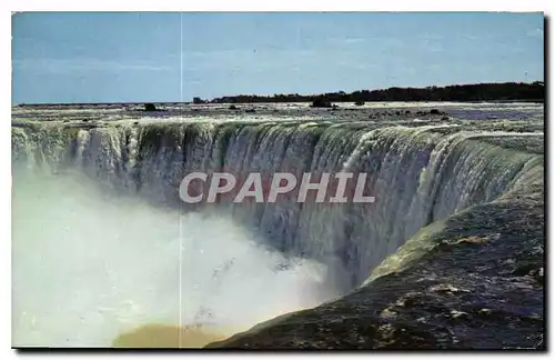 Cartes postales The Horseshoe Falls Roars