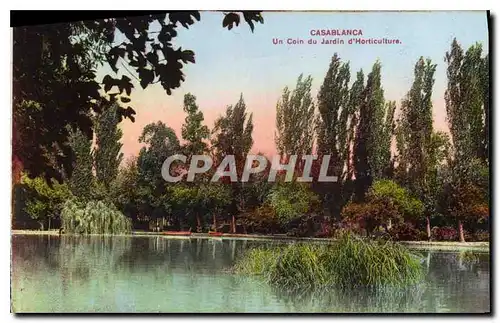 Ansichtskarte AK Casablanca Un coin du Jardin d'Horticulture