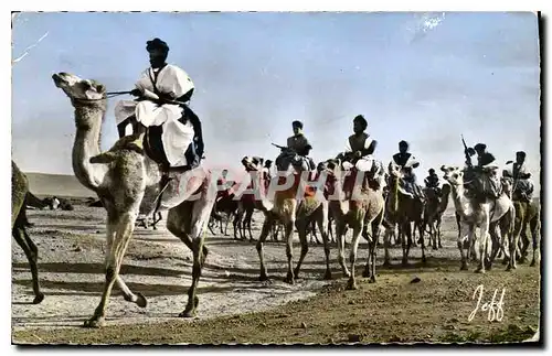 Ansichtskarte AK Maroc Pittoresque Defile des Meharistes