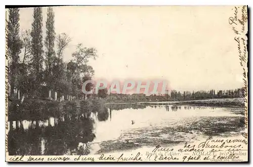 Cartes postales Bords de l'Allier Nomazy pres Moulins