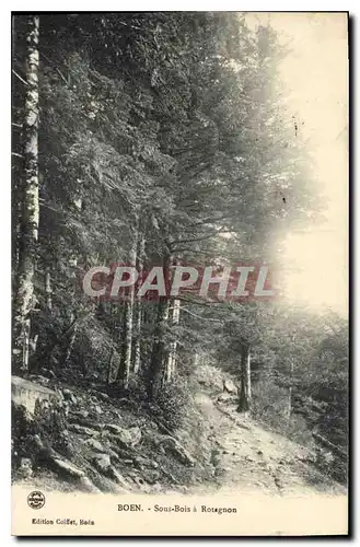 Cartes postales Boen Sous Bois a Rotagnon