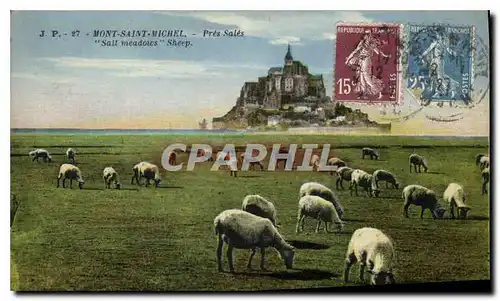 Cartes postales Mont Saint Michel Pres Sales Moutons