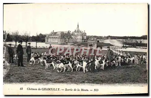 Cartes postales Chateau de Chantilly Sortie de la Meute Chiens