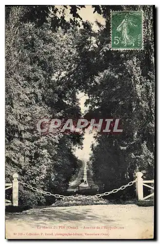 Cartes postales Le Haras du Pin Orne Avenue de l'Hippodrome