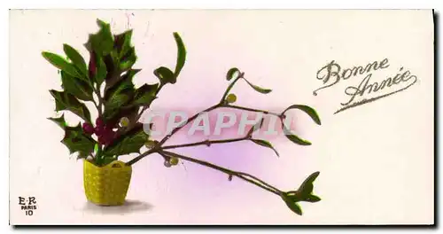 Cartes postales Bonne Annee