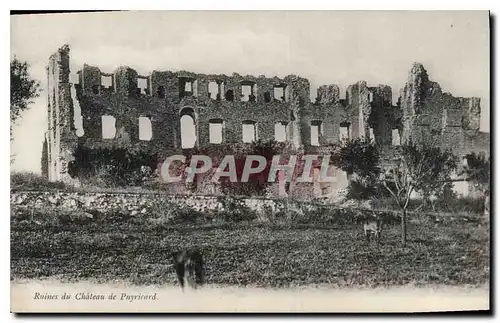 Cartes postales Ruines du Chateau de Puyricard