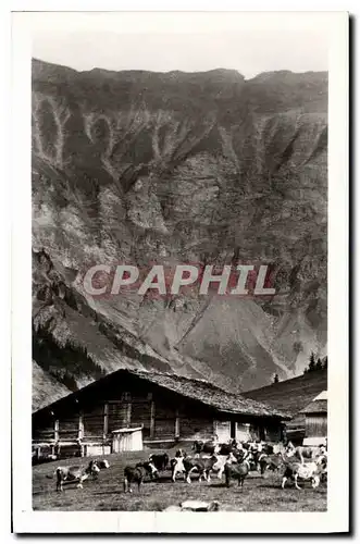 Cartes postales Alpage de Savoie sous les cretes de la Chaine du July