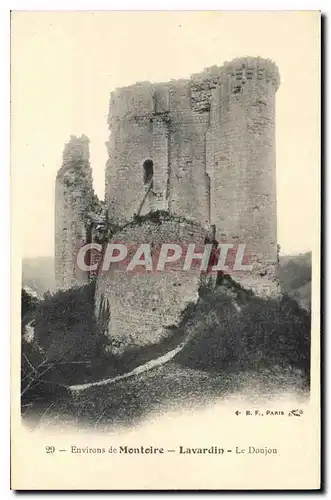 Cartes postales Environs de Montoire Lavardin Le Donjon