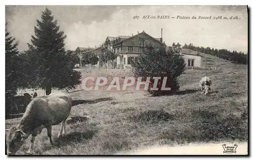 Ansichtskarte AK Aix les Bains Plateau du Revard Vaches