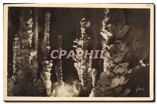 Cartes postales Aven Armand Lozere Entree de la Foret Vierge