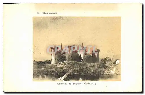 Cartes postales En Bretagne Chateau de Susimo Morbihan