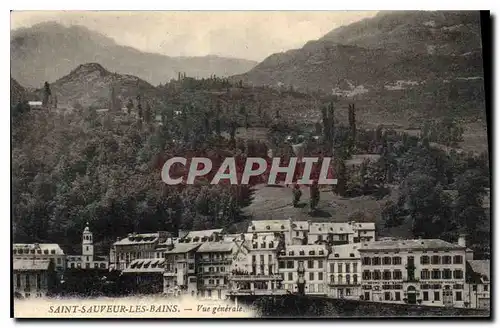 Cartes postales Saint Sauveur les Bains Vue generale