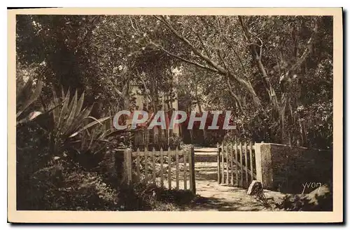 Cartes postales Le Manoir d'Helene et de Jean d'Agreve dans un hameau fremissant d'Eucalyptus elances