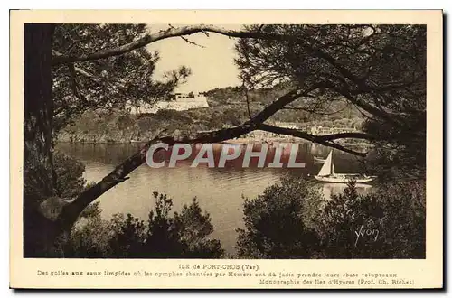 Cartes postales Ile de Port Cros Var