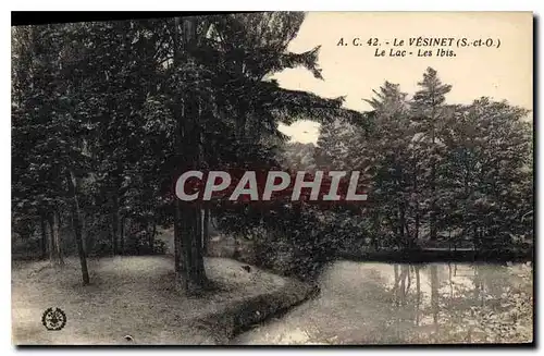 Cartes postales Le Vesinet S et O Le Lac Les Ibis