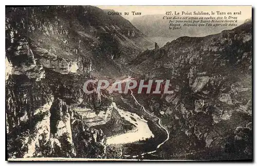 Cartes postales Gorges du Tarn Le Point Sublime le Tarn en aval