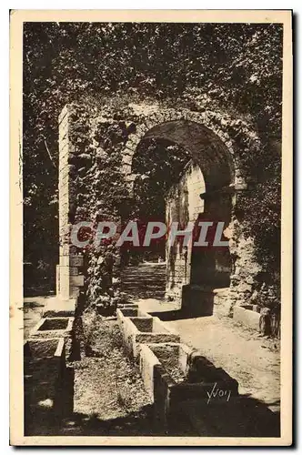 Cartes postales Arles Bouches du Rhone Les Alyscamps