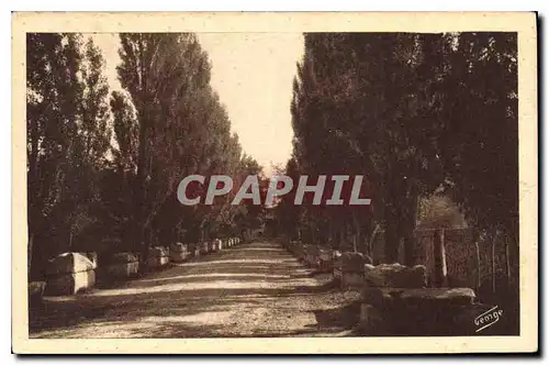 Cartes postales Arles sur Rhone Les Alyscamps Allee des Tombeaux