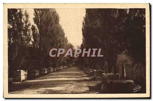 Cartes postales Arles sur Rhone Les Alyscamps Allee des Tombeaux