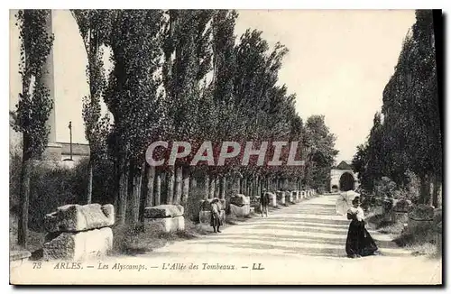 Ansichtskarte AK Arles Les Alyscamps L'Allee des Tombeaux