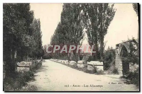 Cartes postales Arles Les Aliscamps