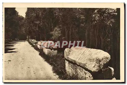 Ansichtskarte AK Arles Bouches du Rhone Les Alyscamps L'Allee des Tombeaux