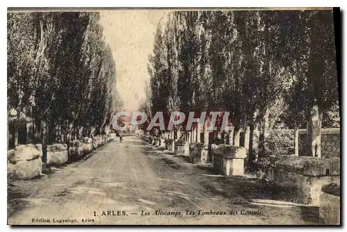 Cartes postales Arles Les Aliscamps Les Tombeaux des Consuls