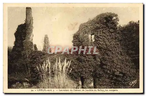 Cartes postales Lire M et L Les ruines du Chateau de Joachim du Bellay les remparts