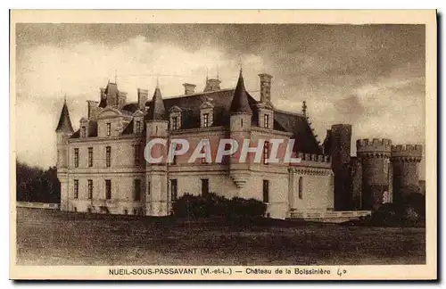 Cartes postales Neuil Sous Passavant Chateau de la Boissiniere