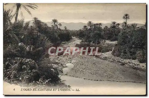 Cartes postales L'Oued el Kantara et L'Oassis