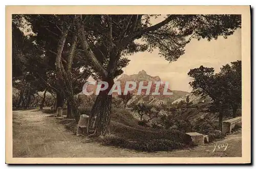 Ansichtskarte AK Paysages et Pierres de Provence les Alpilles vues dela Route de St Remy aux Baux