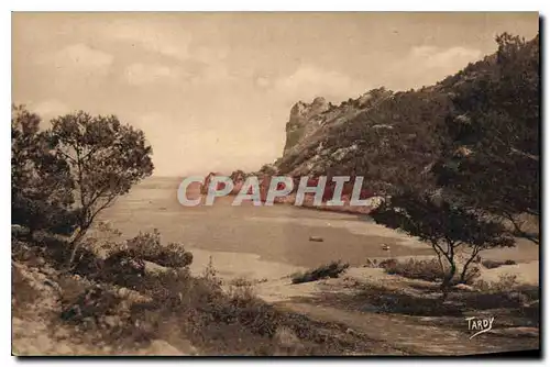 Ansichtskarte AK Sites de Provence Littoral de Marseille Sormiou la Grande Plage