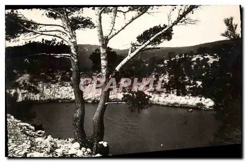 Cartes postales Cassis sur Mer B du R Calanque de Port Pin