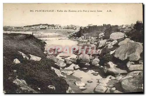 Cartes postales Ploumanach Vallee des Troicros et le port a maree basse