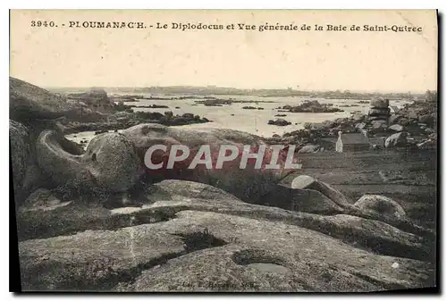 Cartes postales Ploumanach le Diplodocus et vue generale de la Baie de Saint Quirec