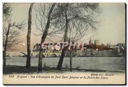Cartes postales Avignon vue d'ensemble du Pont Saint Benezet et du Palais des Papes