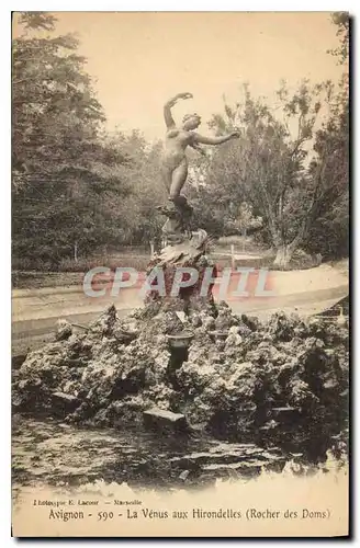 Cartes postales Avignon la Venus aux Hirondelles Rocher des Doms