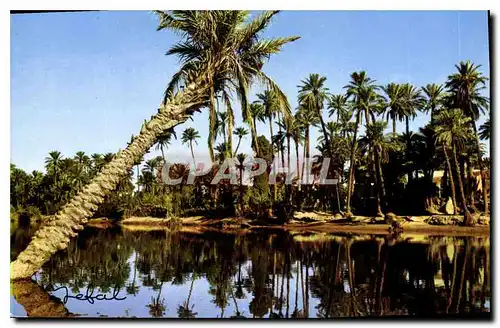 Cartes postales moderne Bechar l'Oued